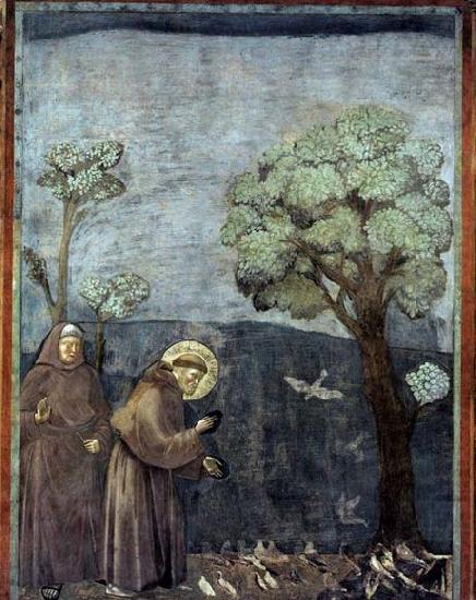 Sermon to the Birds, GIOTTO di Bondone